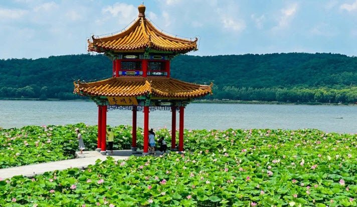 Shenyang Botanical Garden, Liaoning, China